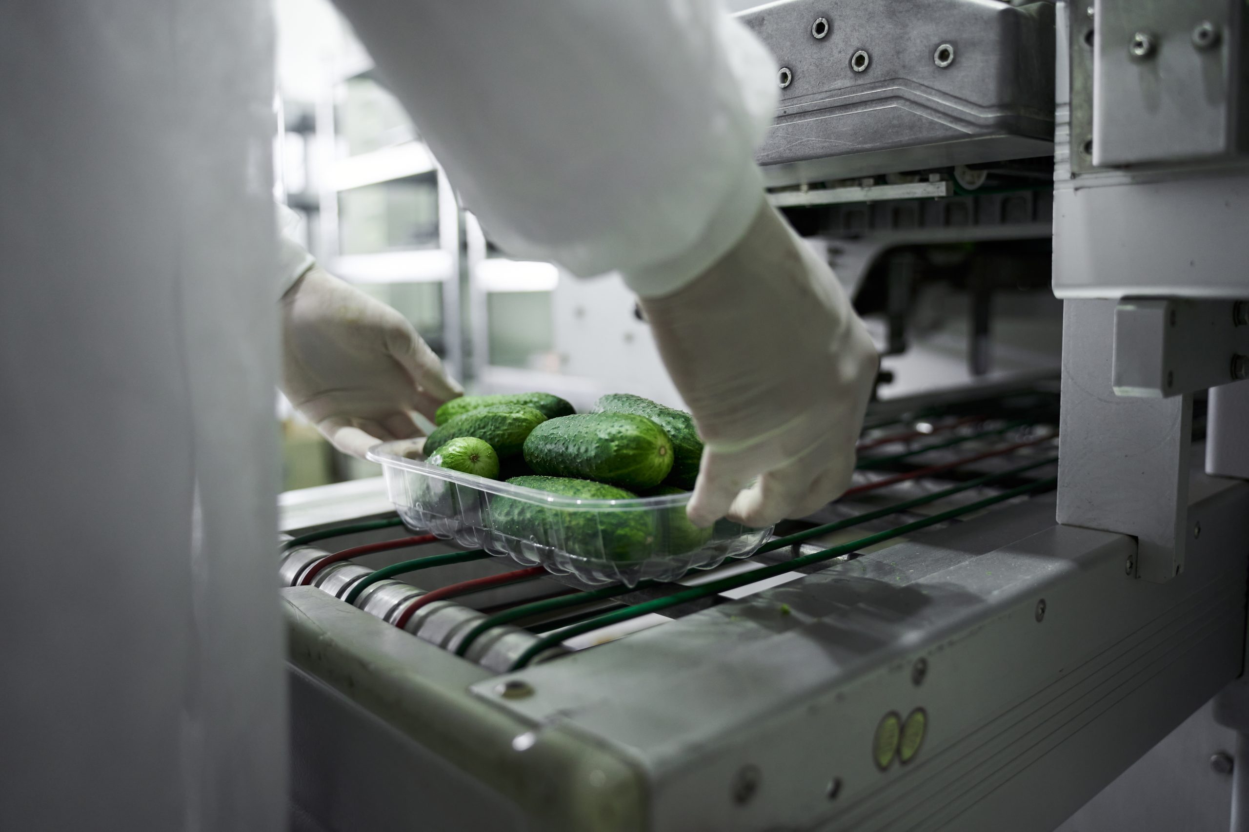 Agroalimentaire - Résistance mécanique et thermique - Ribeyron