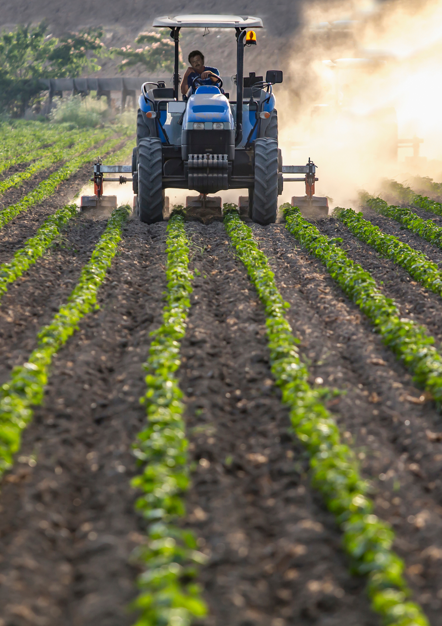 Benefices - Films de forçage et semi-forçage - Ribeyron