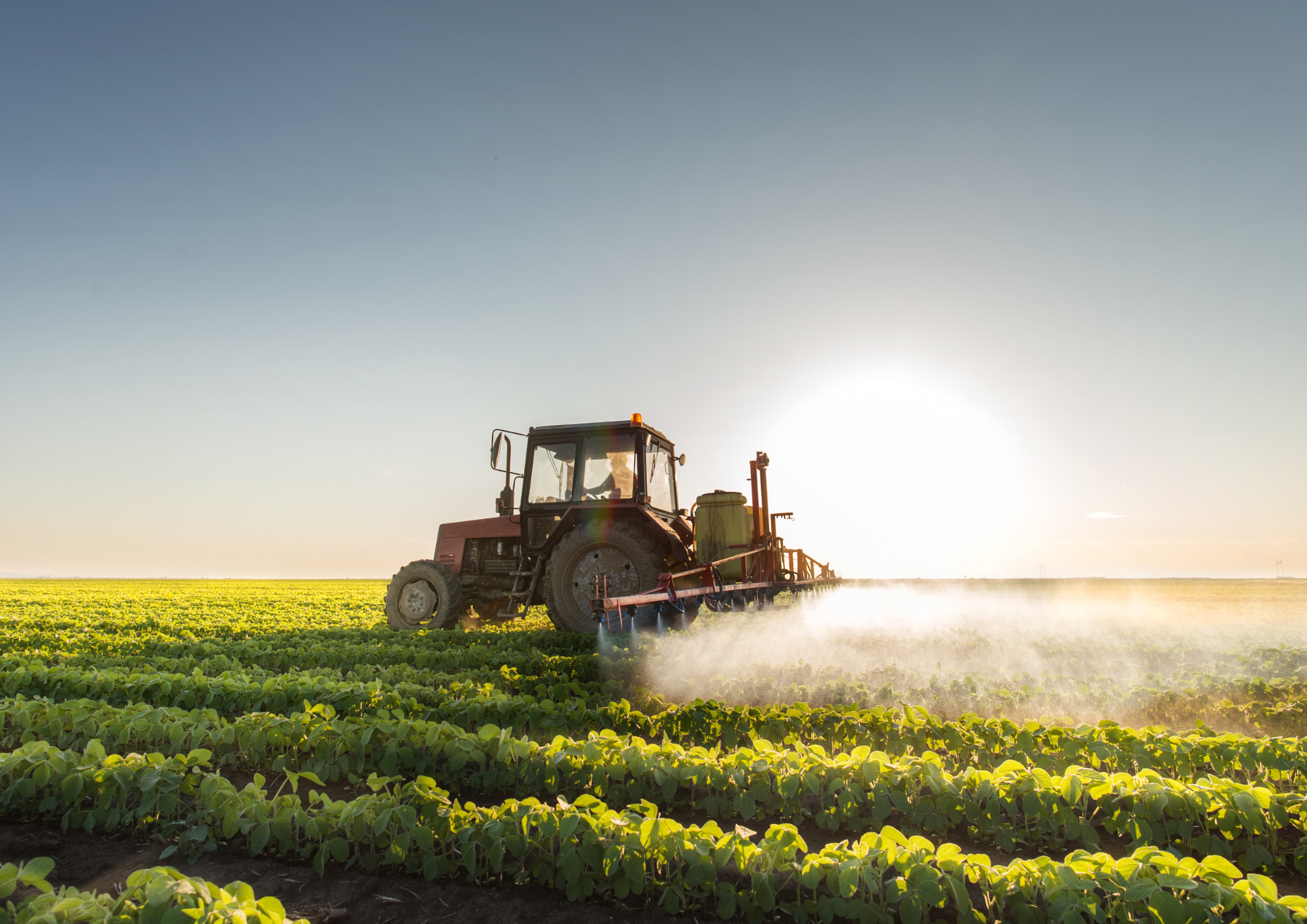 Films agricoles - Catégorie - Ribeyron