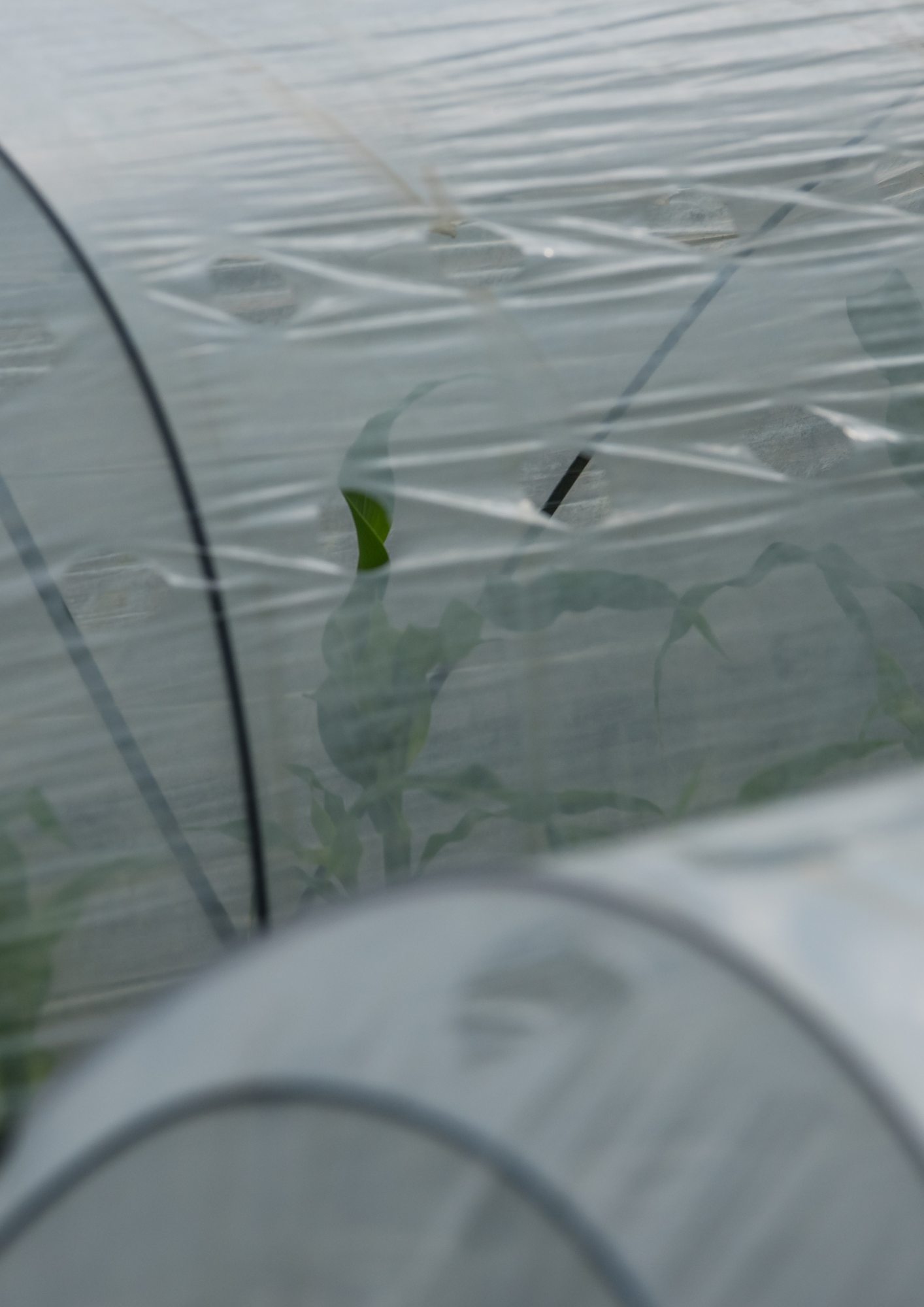 Films de forçage et semi-forçage (3) - Produit - Ribeyron