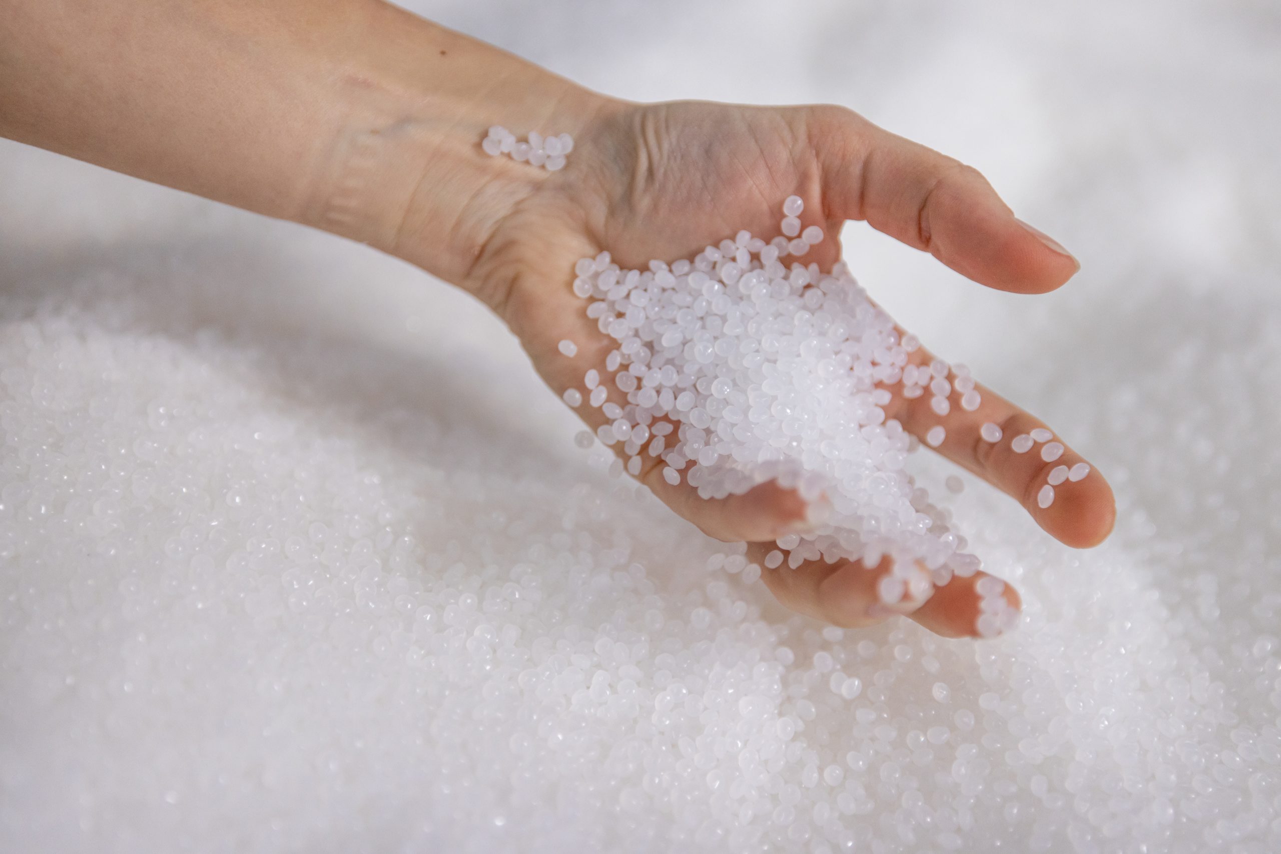 Savoir faire Ribeyron